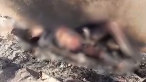 Corpo carbonizado é encontrado carbonizado em São Luís
