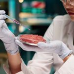 Crie carne artificial na sua casa com essa máquina japonesa