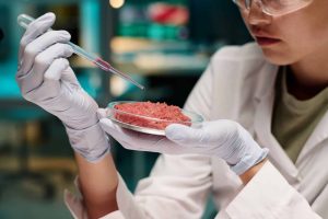 Crie carne artificial na sua casa com essa máquina japonesa