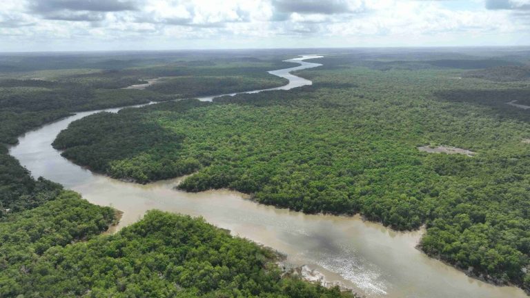 Crimes ambientais em Terras de Timbotuba intensificam urgência na criação
