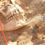 DNA revela doenças que devastaram o exército de Napoleão em