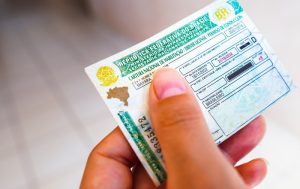 Devido à alta demanda, Governo do Maranhão lançará um novo