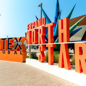Do agro à saúde: Brasil leva 50 startups para Dubai
