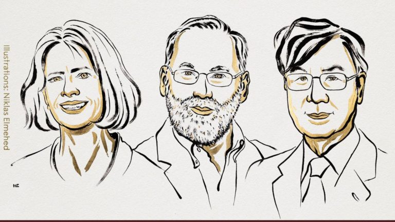 Entrevista: entenda o prêmio vencedor do Nobel de Medicina 2025