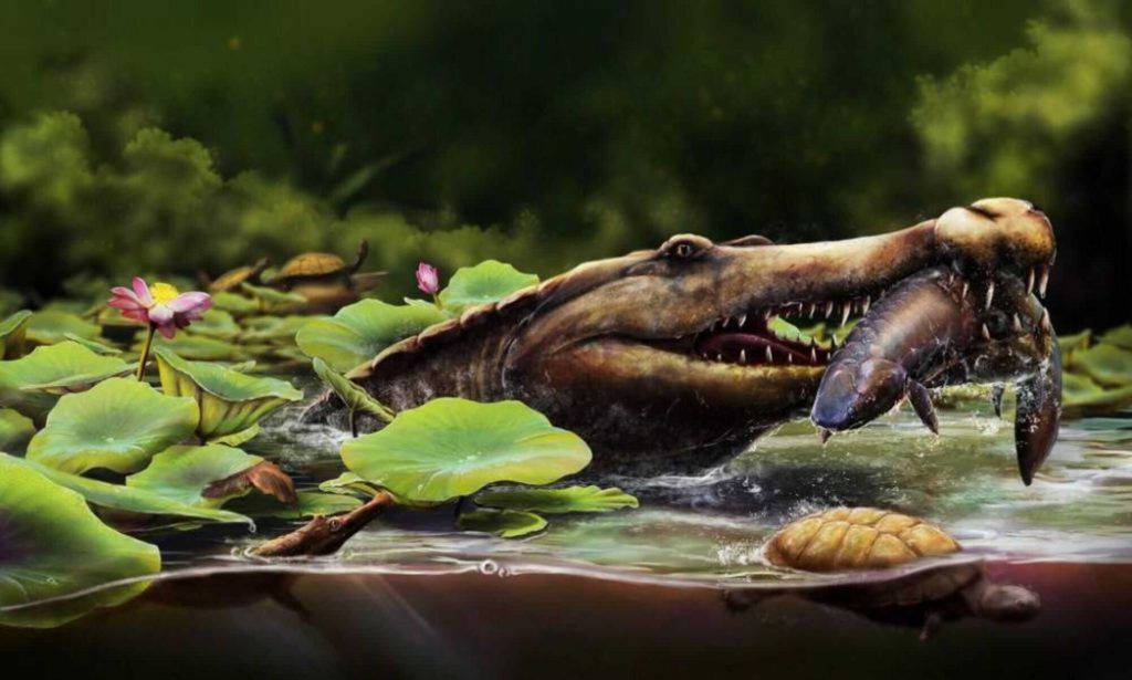 Espécie de crocodilo de 80 milhões de anos é identificada