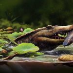 Espécie de crocodilo de 80 milhões de anos é identificada