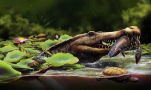 Espécie de crocodilo de 80 milhões de anos é identificada