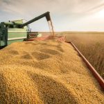 Exportações de soja do Maranhão somam R$ 8 bi e