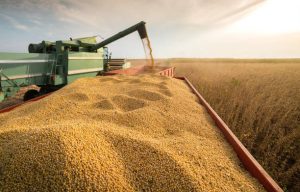 Exportações de soja do Maranhão somam R$ 8 bi e