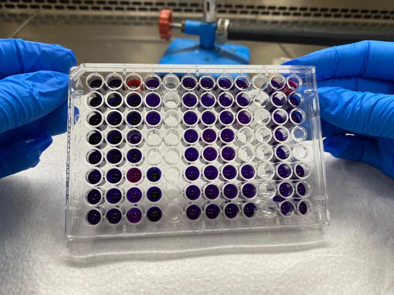 Fapema divulga resultado final do Edital Plano Maranhão 2050 com