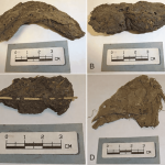 Fezes de mais de 1.000 anos revelam passado de povos
