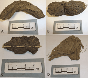 Fezes de mais de 1.000 anos revelam passado de povos