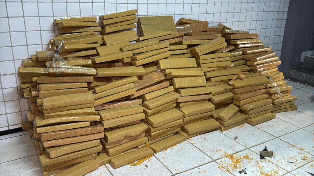 Forças de segurança retiram 4 toneladas de drogas de circulação