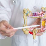 IA desvenda mistério de 25 anos sobre o intestino e