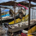 Início do defeso da piracema restringe pesca comercial no país