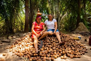 Mulheres quebradeiras de coco babaçu do Maranhão ganham destaque em
