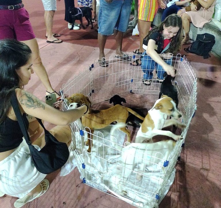 “No Ritmo da Adoção” terá edição com feira de empreendedorismo