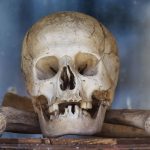Novo estudo questiona o “hábito mais antigo da humanidade”
