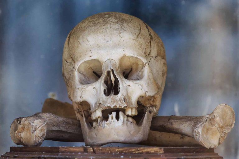 Novo estudo questiona o “hábito mais antigo da humanidade”