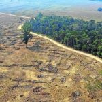 ONU aponta Brasil como responsável por 70% do desmatamento de