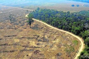 ONU aponta Brasil como responsável por 70% do desmatamento de