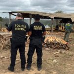 Operação Araribóia Livre X combate extração ilegal de madeira em