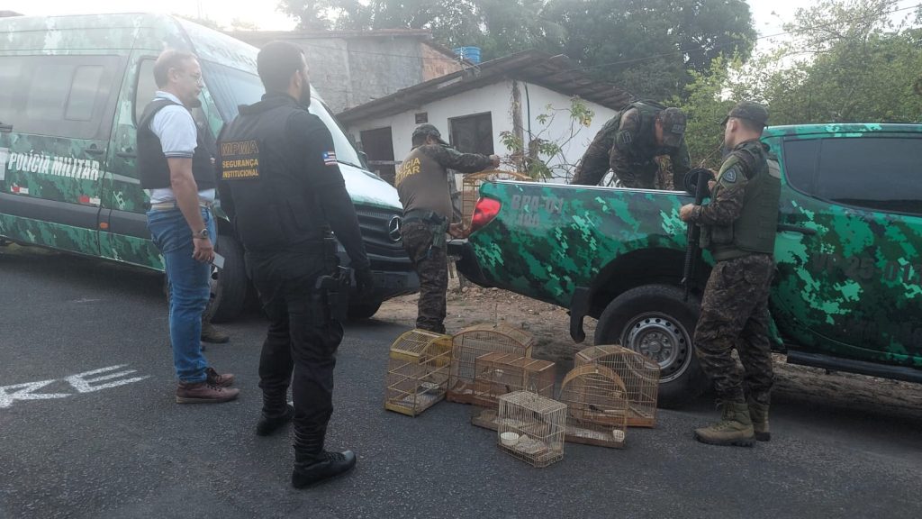 Operação Libertas resgata 51 aves mantidas ilegalmente em bairros de