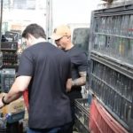 Operação contra adulteração de bebidas prende seis pessoas em São
