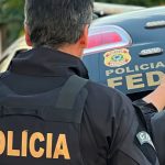 Operação da PF em Guarulhos impede tráfico de animais silvestres