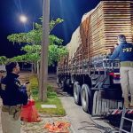 PRF apreende mais de 30 m³ de madeira nativa transportada