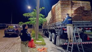 PRF apreende mais de 30 m³ de madeira nativa transportada