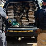 PRF e PMMA apreendem mais de 140 quilos de maconha