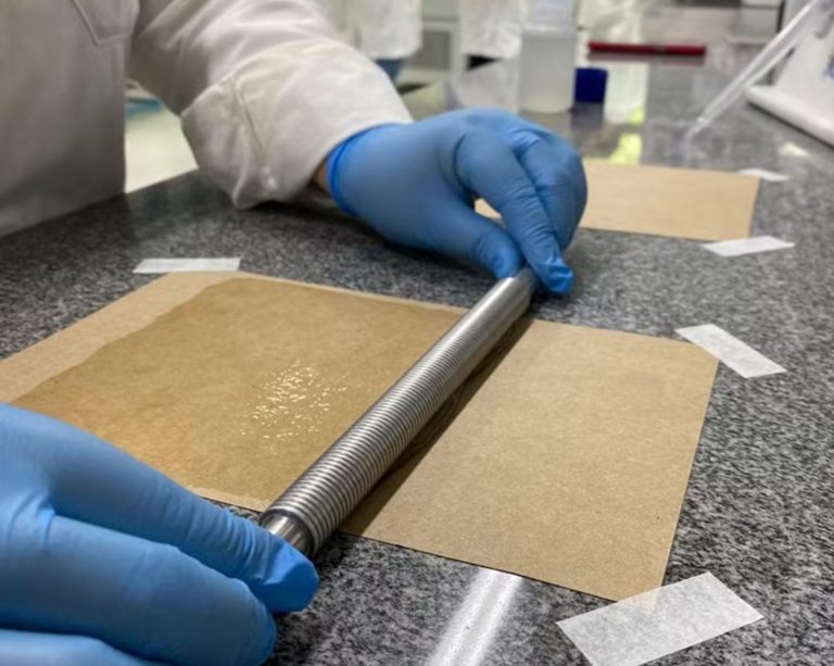 Papel vegetal criado por brasileiros pode substituir plástico