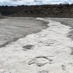 Pegadas gigantes formam maior trilha de dinossauro já vista na