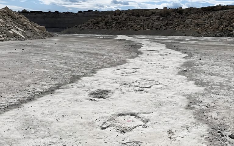 Pegadas gigantes formam maior trilha de dinossauro já vista na