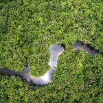 Perfuração no Amazonas: ambientalistas vão recorrer à Justiça