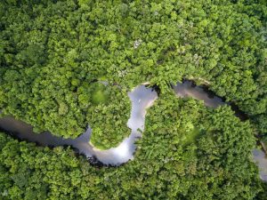 Perfuração no Amazonas: ambientalistas vão recorrer à Justiça