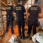 Polícia incinera cerca de 420 KG de droga em Caxias