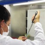 Resultado final do Edital Plano Maranhão 2050 é divulgado pela