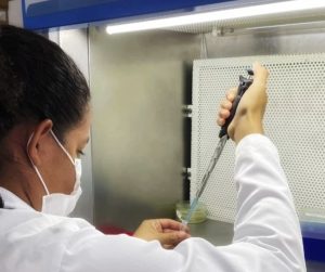 Resultado final do Edital Plano Maranhão 2050 é divulgado pela