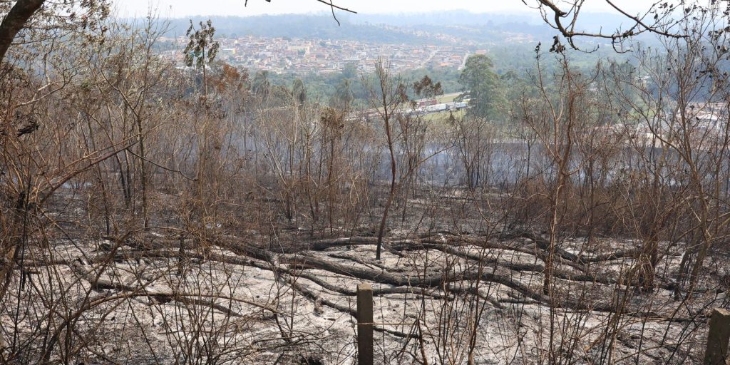 SP segue em atenção para queimadas; reservatórios estão em alerta