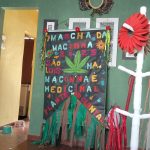 São Luís realiza neste sábado (4), a 7ª Marcha da