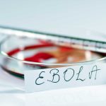 Sobreviventes do Ebola enfrentam sequelas e risco de transmissão tardia