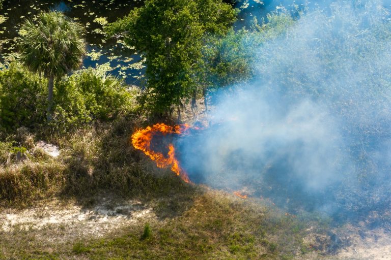 Som inaudível pode revolucionar o combate a incêndios