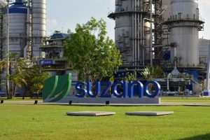 Suzano abre inscrições para Programa de Estágio Técnico 2026 no