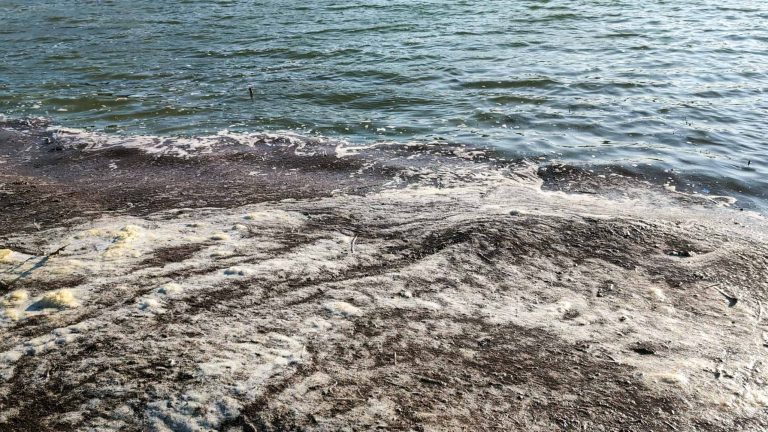 Tecnologia brasileira: filtros sustentáveis podem remover poluentes da água