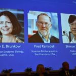 Trio de cientistas recebe Nobel de Medicina por avanços sobre