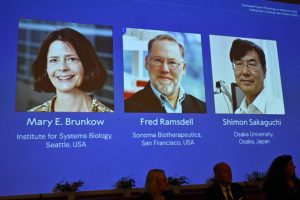 Trio de cientistas recebe Nobel de Medicina por avanços sobre