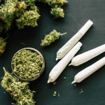 Vício em maconha pode ter motivação genética, diz pesquisa