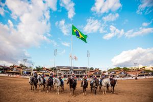 A raça brasileira de cavalos que movimenta R$ 9 bi